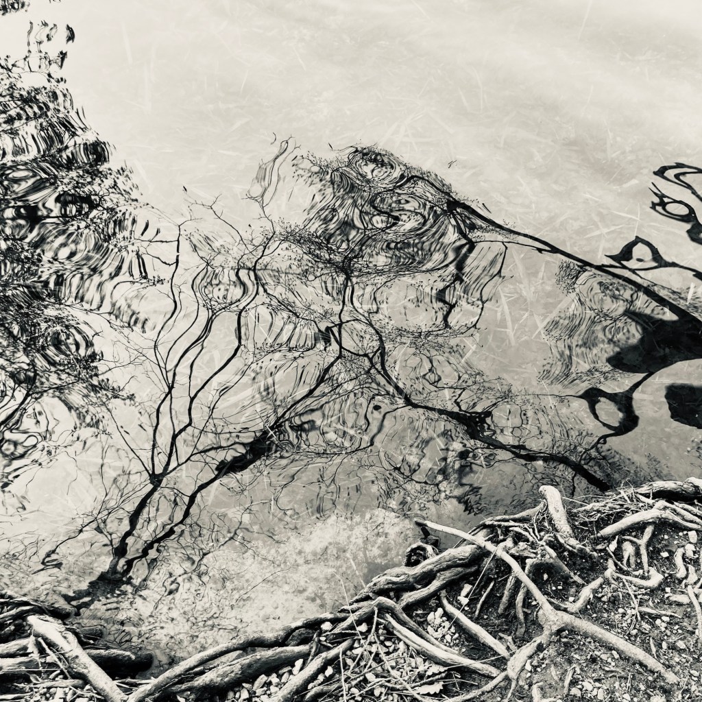 Trucker, Trecker und Krähen&nbsp;zählen