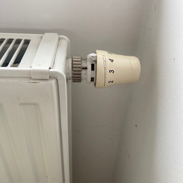 Binäre Ordnung der&nbsp;Wärme