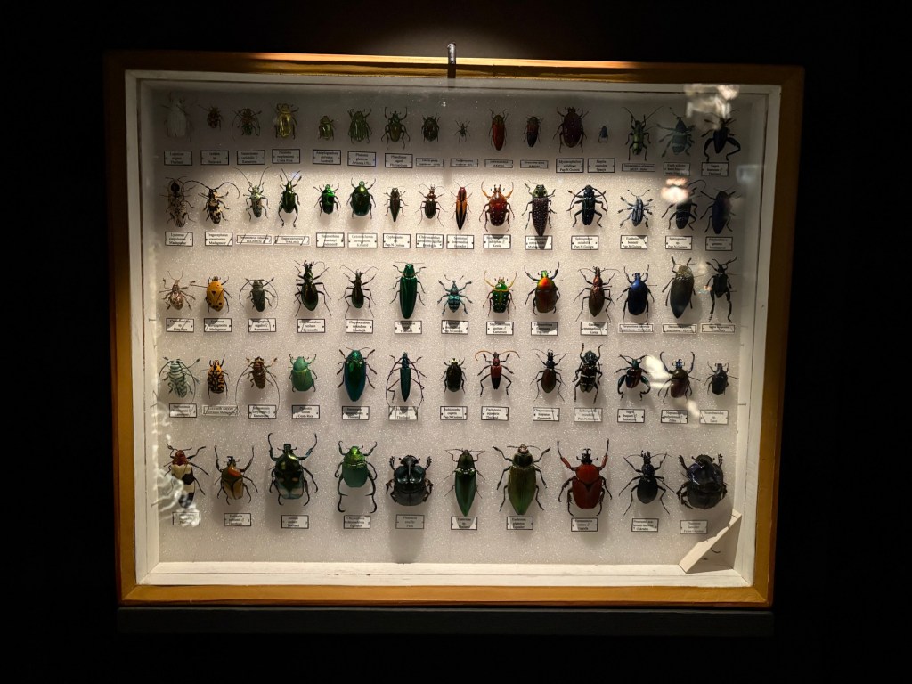 Tag 13 – FLES an&nbsp;Bord