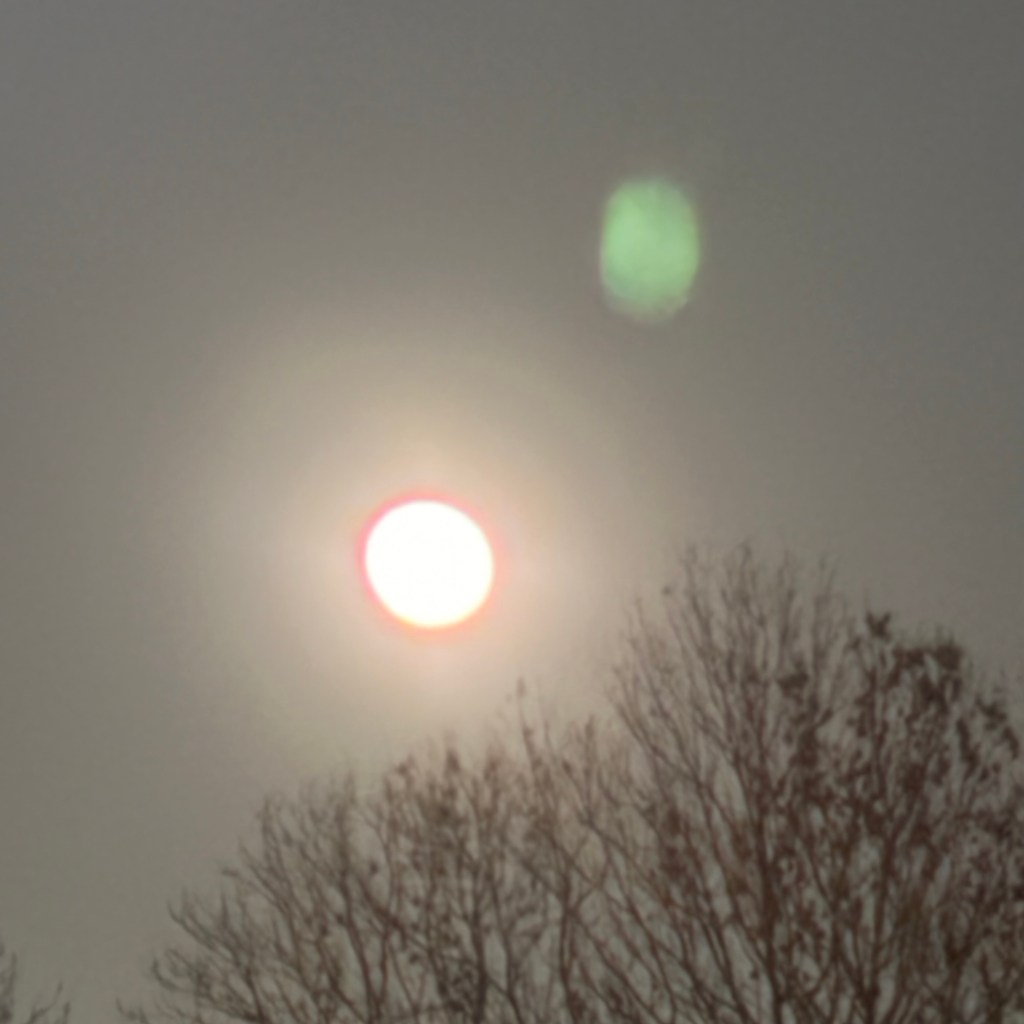 Tag 11 – Neurosis of the heart