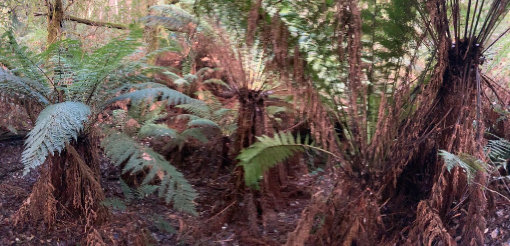 Tag 17 – Fin(al&nbsp;Countdown)