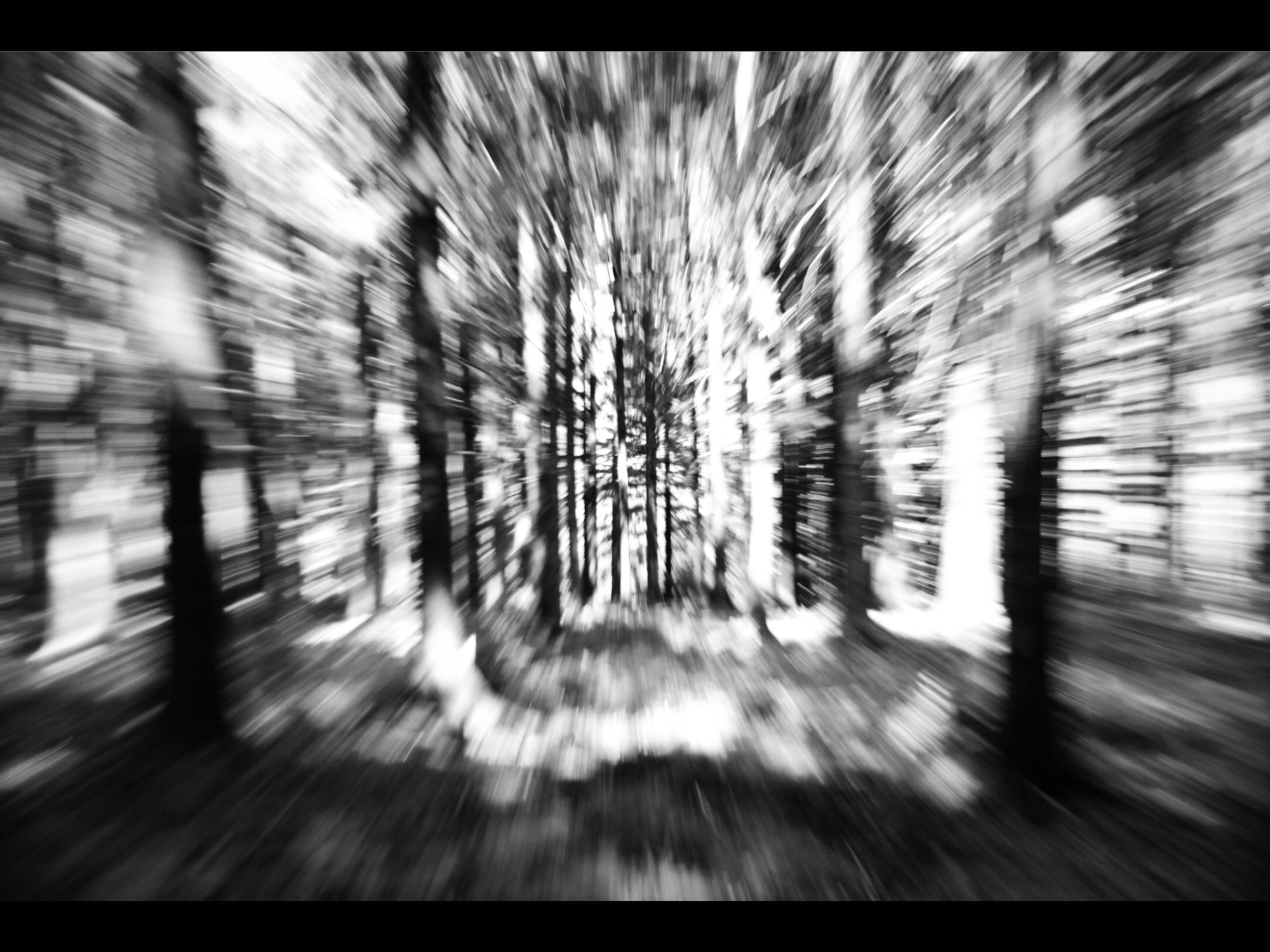 Tag 10 – Prinzipien